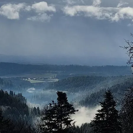 Schwarzwald Ruhe Altensteig