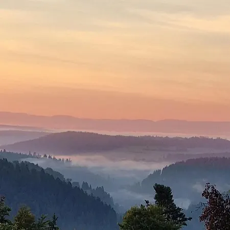 Schwarzwald Ruhe Apartment Altensteig