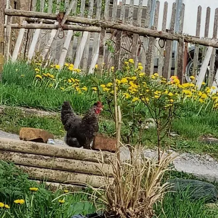 Schwarzwald Ruhe *