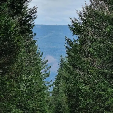 Schwarzwald Ruhe *