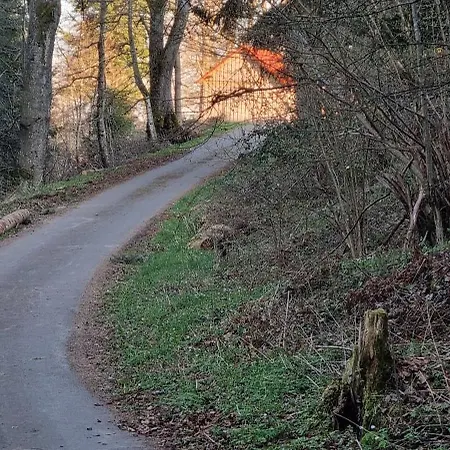 Schwarzwald Ruhe Apartment Altensteig
