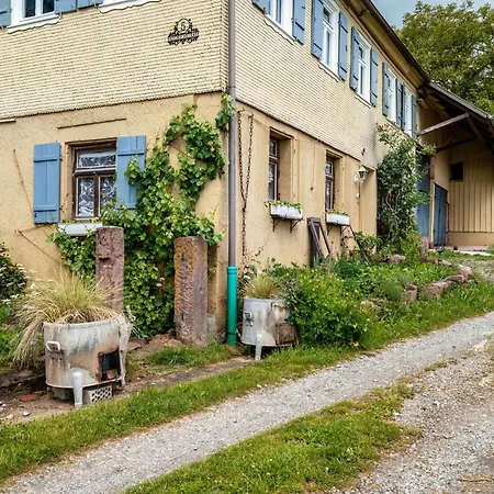 Апартаменты Schwarzwald Ruhe