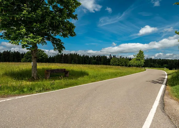 Апартаменты Schwarzwald Ruhe *